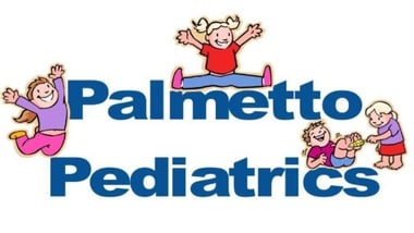 Palmetto Logo 
